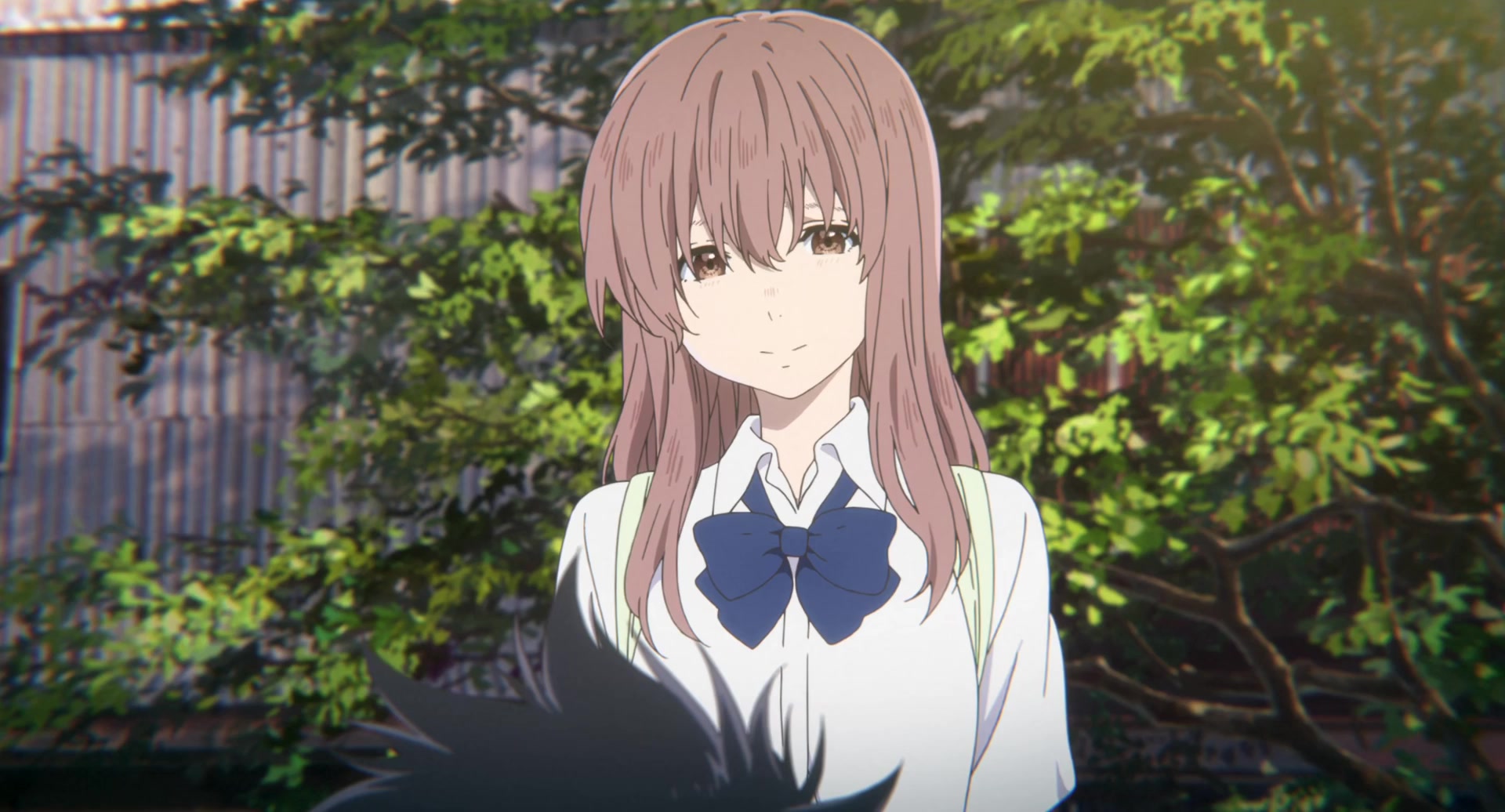 [Tsukyio Editing Resources] A Silent Voice Movie - 0655.mp4